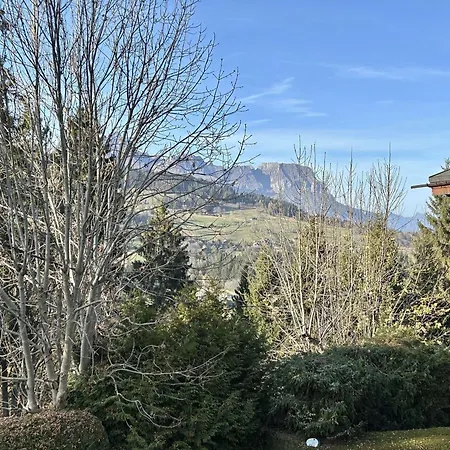 Appartamento Megève, 3 Pièces, 4 Personnes - Fr-1-597-19 Megève